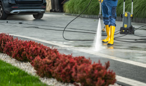 Best Deck Cleaning Services  in Craig, CO