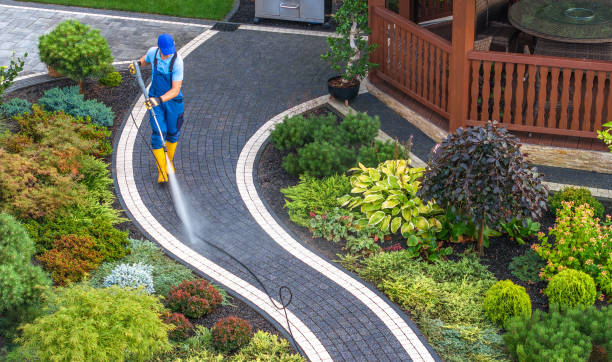 Best Exterior Home Cleaning  in Craig, CO
